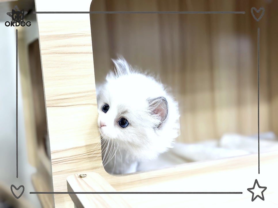 허허 사진 3