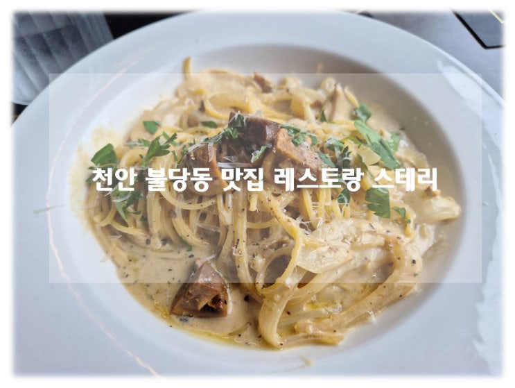 천안 불당동 맛집 분위기 좋은 레스토랑 불당골목 스테리 후기!