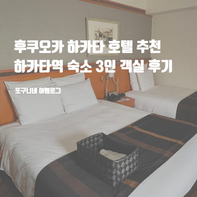  후쿠오카 하카타 호텔 하카타역 가성비 3인 숙소 추천 ANA 크라운 플라자 바이 IHG