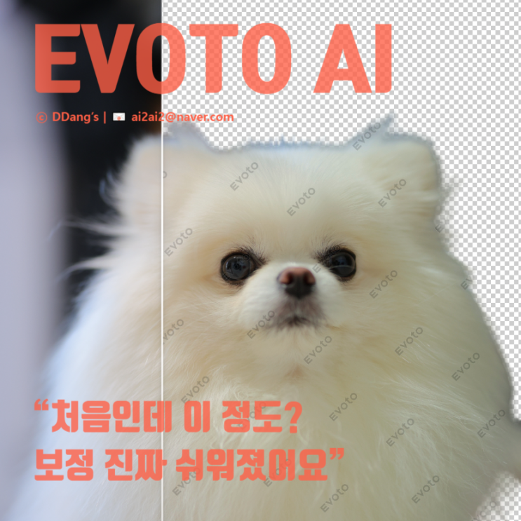  AI 사진보정 프로그램 Evoto, 처음 써봤어요! 어렵게만 느껴졌는데… 이건 좀 편하더라고요?