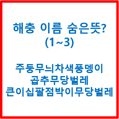 해충 이름의 숨은 뜻? 해충 이름 해석집(1~3) - 주둥무늬차색풍뎅이, 곱추무당벌레, 큰이십팔....