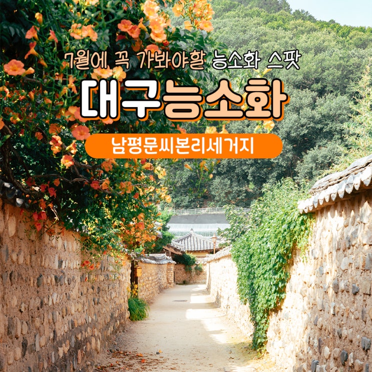 대구 능소화 명소 남평문씨본리세거지 실시간 스팟