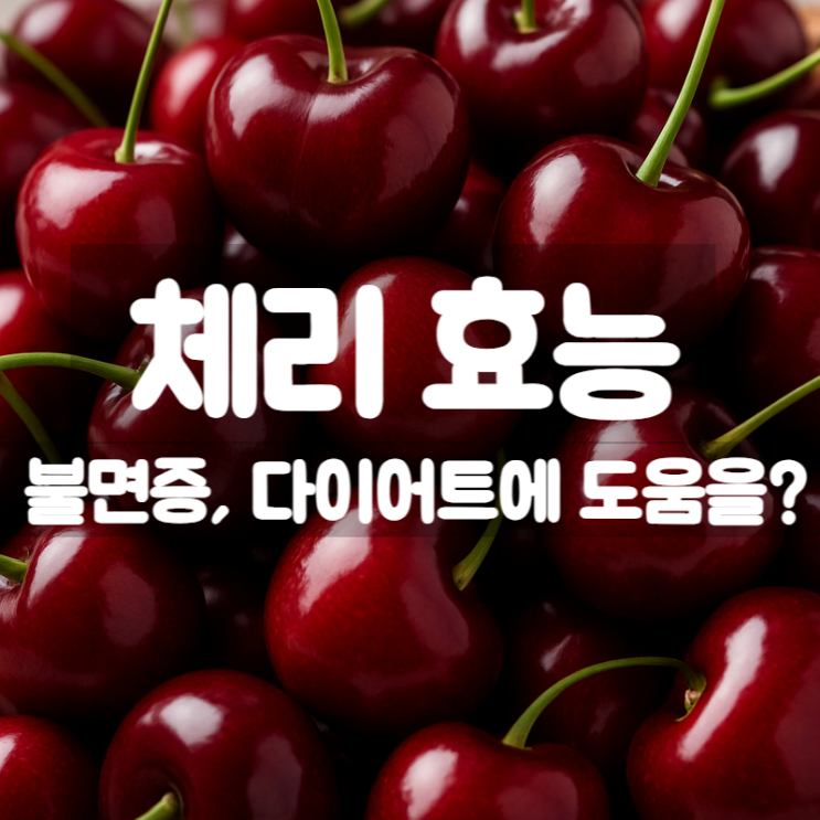  체리 효능 부작용 먹는법 – 불면증과 다이어트에 좋은 이유