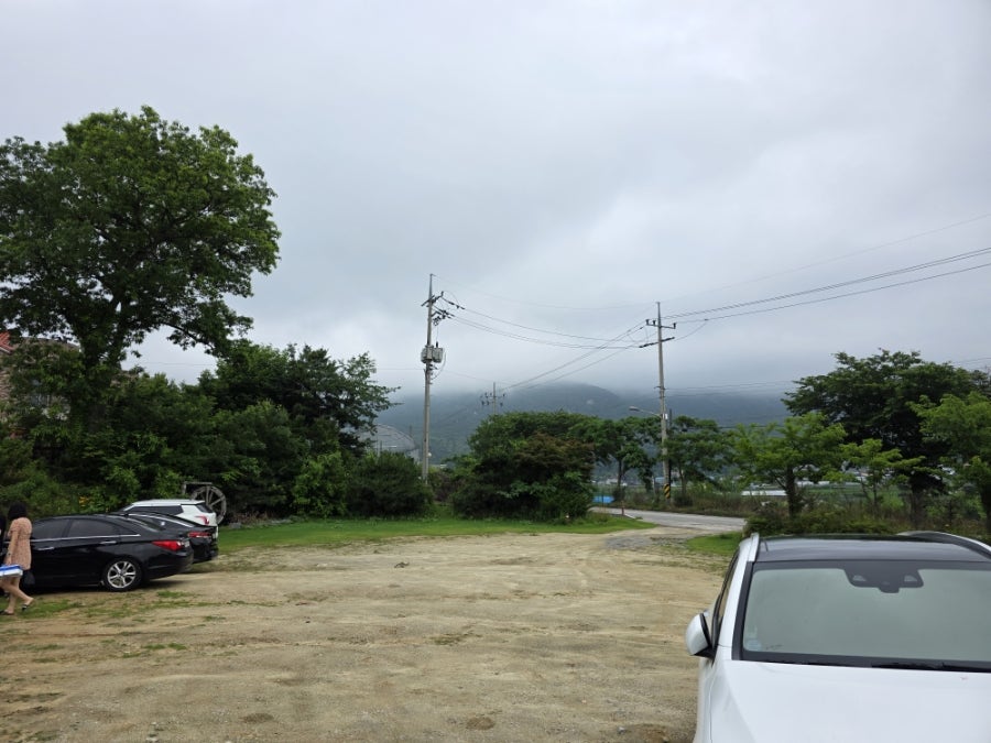 로만티카 애견펜션 사진 5