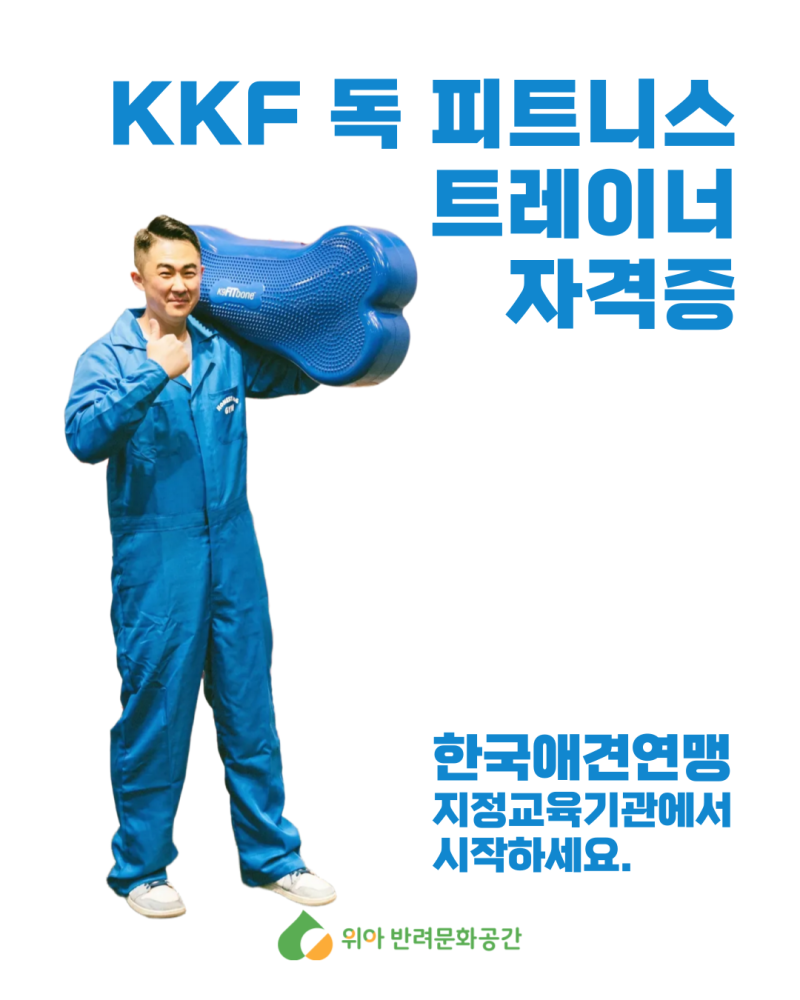 사진 3