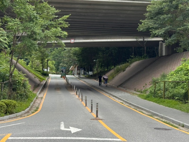 사진 1