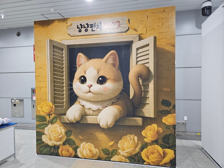 [일산] 2025 냥냥펀치 캣쇼 일산 - 많이 늦은 후기 참고로 올려봄