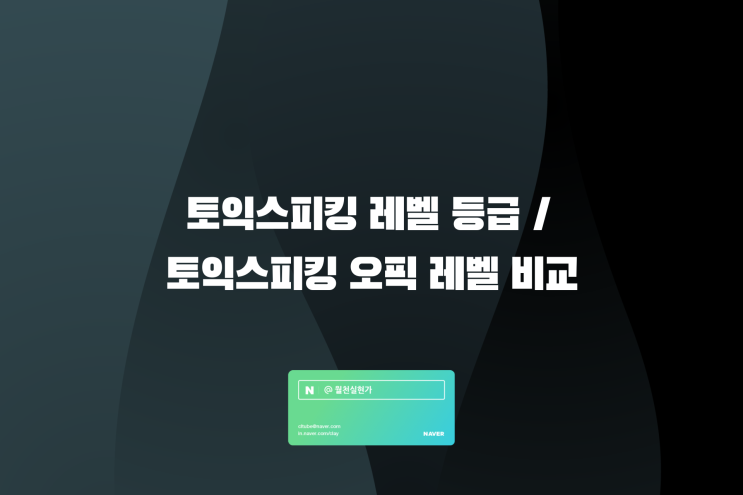 토익스피킹 레벨 등급 / 토익스피킹 오픽 레벨 비교