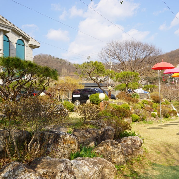 서울 근교 대학생 동아리 MT 장소 가평 꿈에그린펜션, 노래방, 족구장, 농구장 20명, 30명, 40명, 50명, 100명, 200명 수용가능
