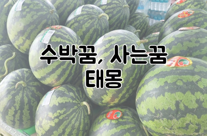 수박 꿈 사는꿈 태몽일까?