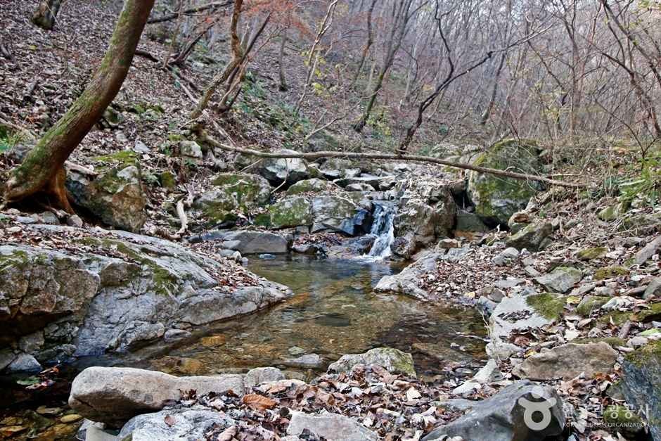 냉천골 사진 3