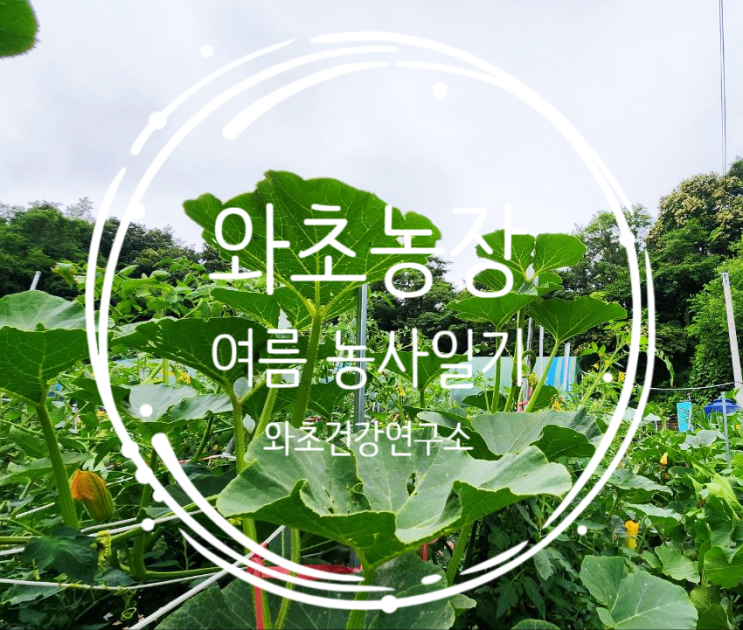  와초농장 농사일기, 함께 땀 흘리는 기쁨, 여름 작업일기