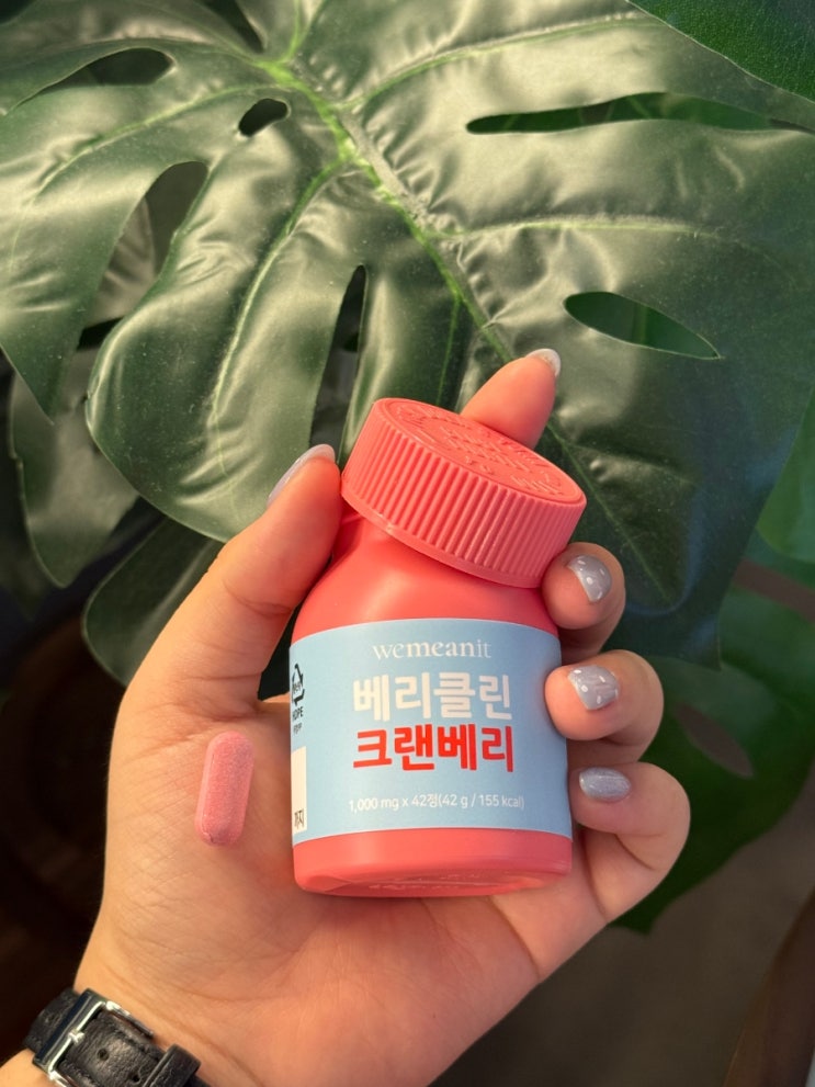 고함량 크랜베리 추출물 베리클린크랜베리