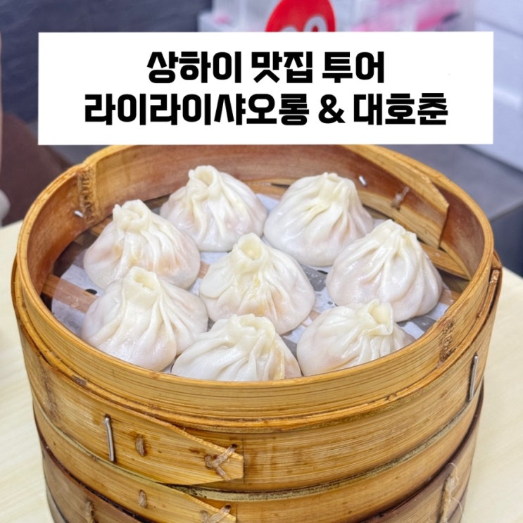 [상하이 시내여행] 상하이 맛집 투어 ‘라이라이샤오롱’ / 성지엔바오 맛집 ‘대호춘’