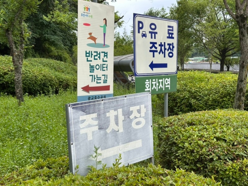 사진 2