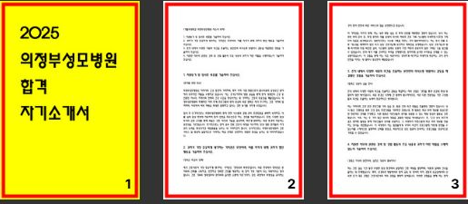 최종 및 서류합격한 의정부성모병원 자소서 4편