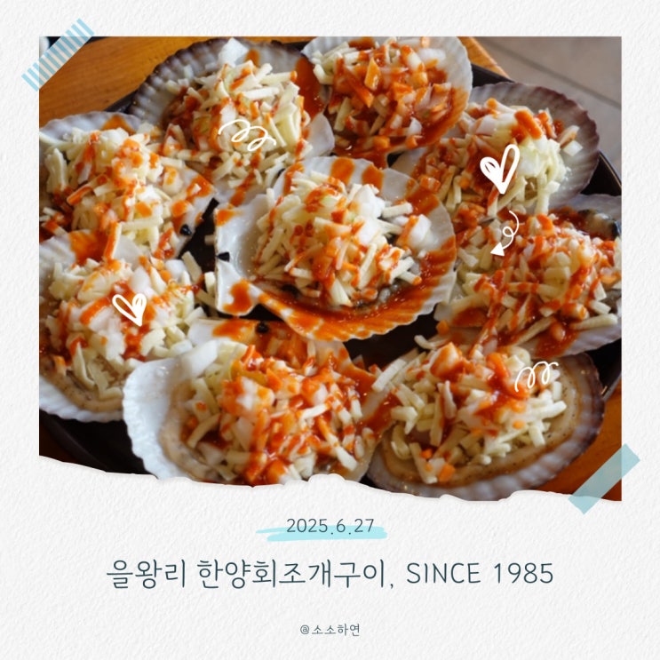  을왕리 조개구이 바다뷰 맛집 한양회조개구이 치즈가리비 세트 후기