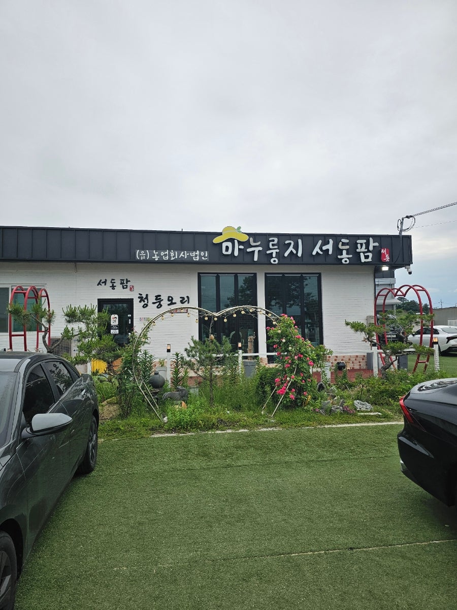 마를품은 청둥오리 사진 2