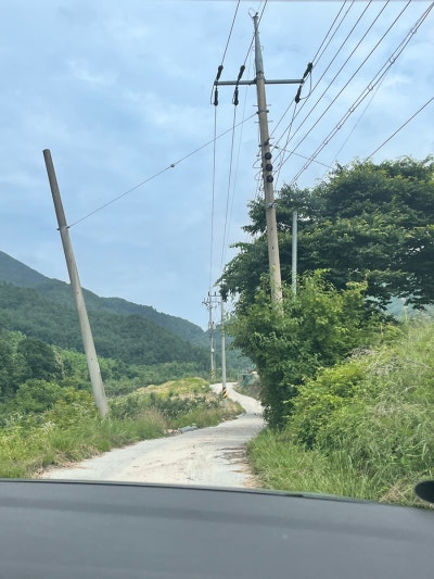 사진 4