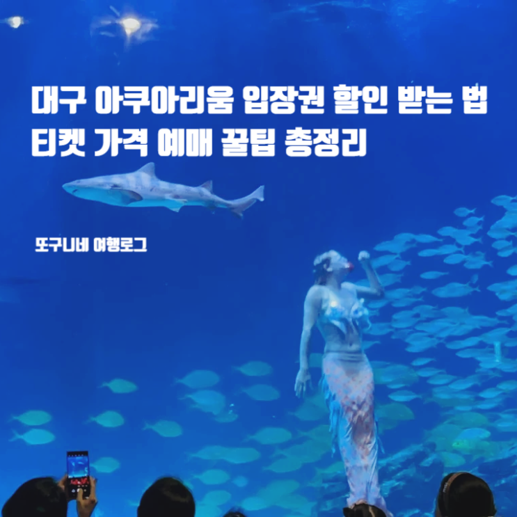  대구 신세계 아쿠아리움 입장권 할인받는 법, 티켓 가격 예매 꿀팁 총정리