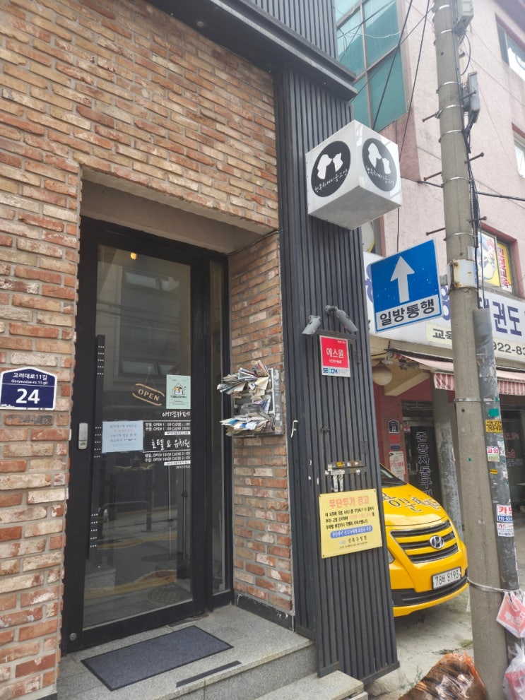  [보문역 강아지 카페] 서울 애견 카페 행복하개키울고양 리뷰