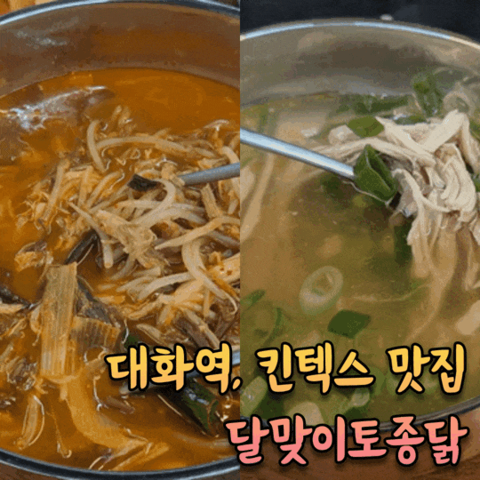  대화역 맛집 일산 보양식 킨텍스 주변 복날  [달맞이토종닭]