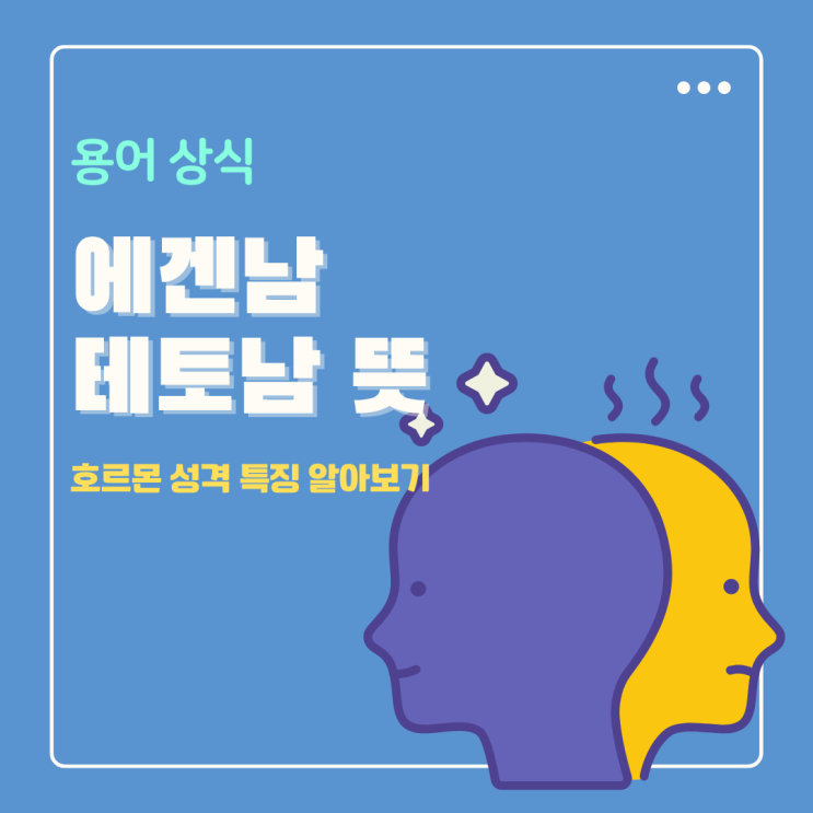  에겐남 테토남 뜻 성격 특징 차이 비교 연예인 포함