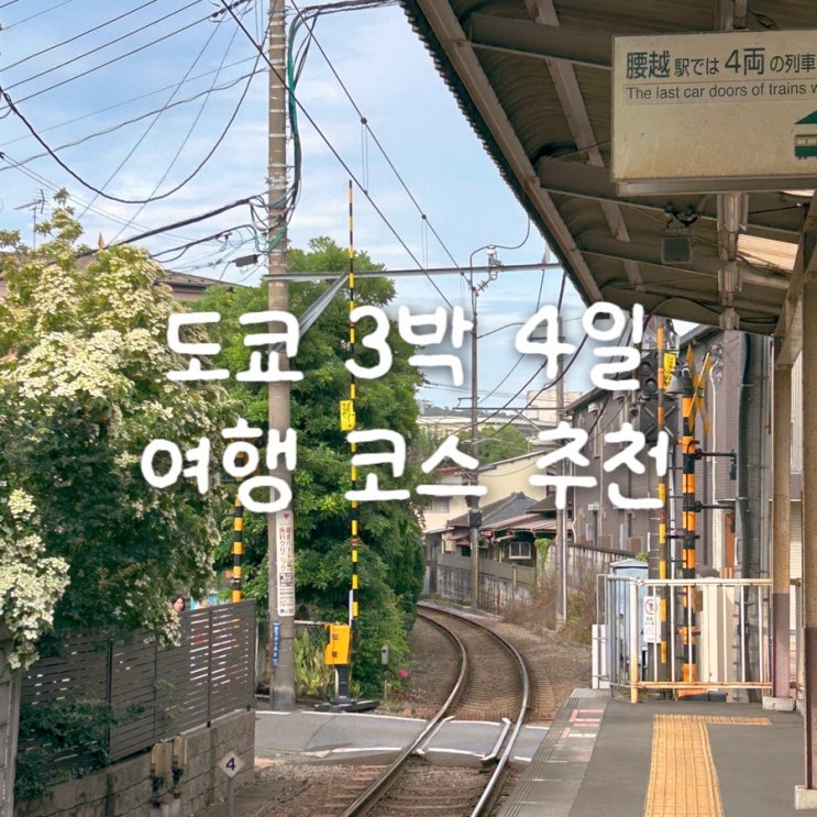  도쿄 3박 4일 여행 코스 추천맛집·야경·디즈니랜드·가마쿠라 풀코스 리뷰