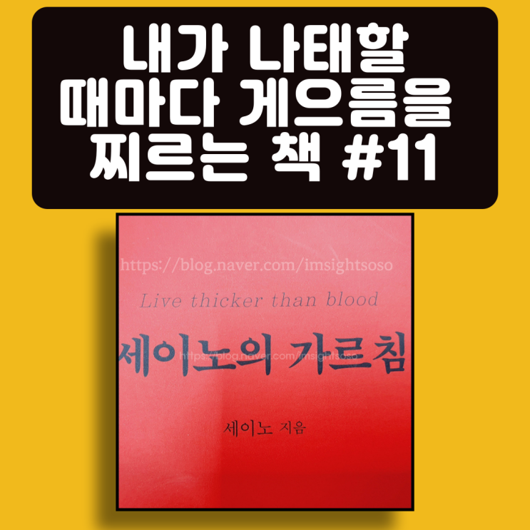  세이노의 가르침, 세이노, 게으름 극복 필독서, 자기계발 책추천: 내가 나태할 때마다, 게으름을 찌르는 책 #11