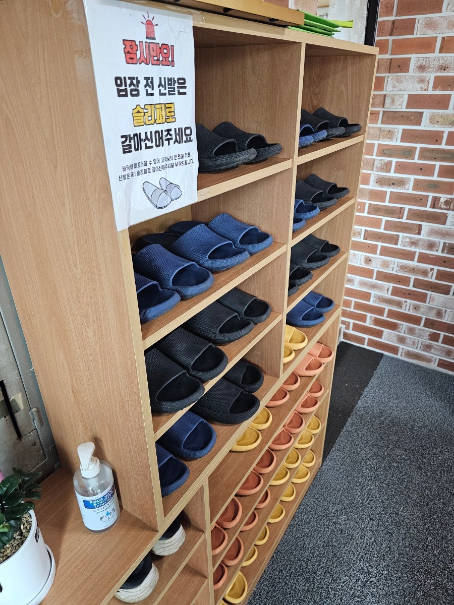 마를품은 청둥오리 사진 5