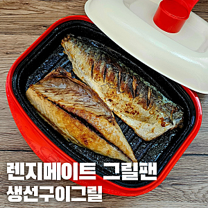 렌지메이트 사각 그릴팬 용기 전자레인지 고등어 생선구이, 냉동 군만두 굽기 요린이 필수템