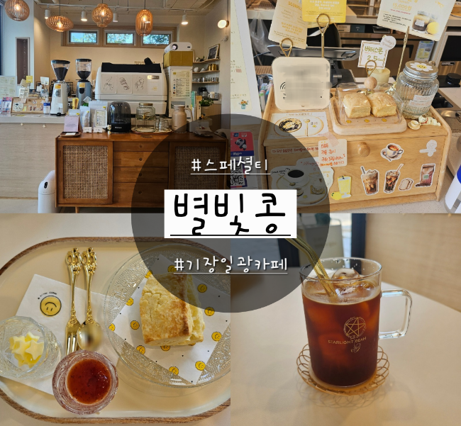 별빛콩 사진 1