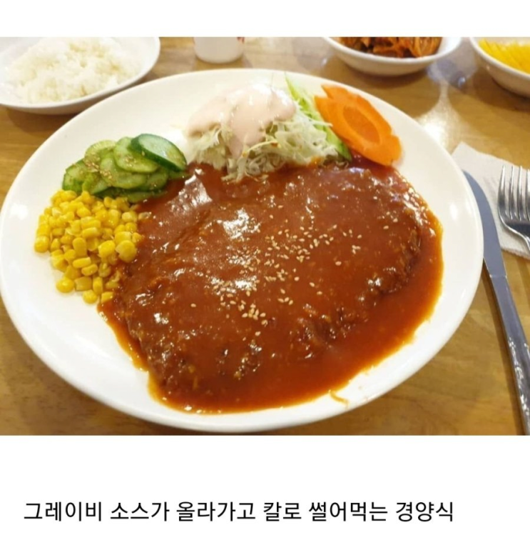 5:5로 갈리는 돈가스 취향 닥전 vs 닥후