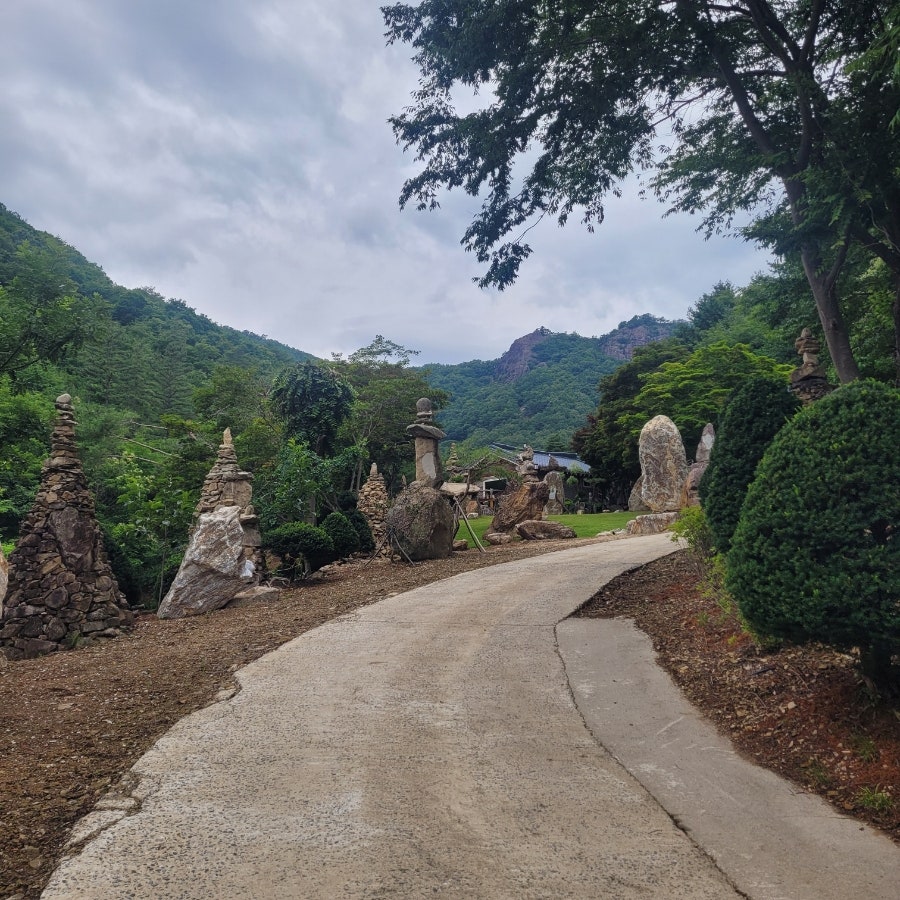 합궁원 사진 2