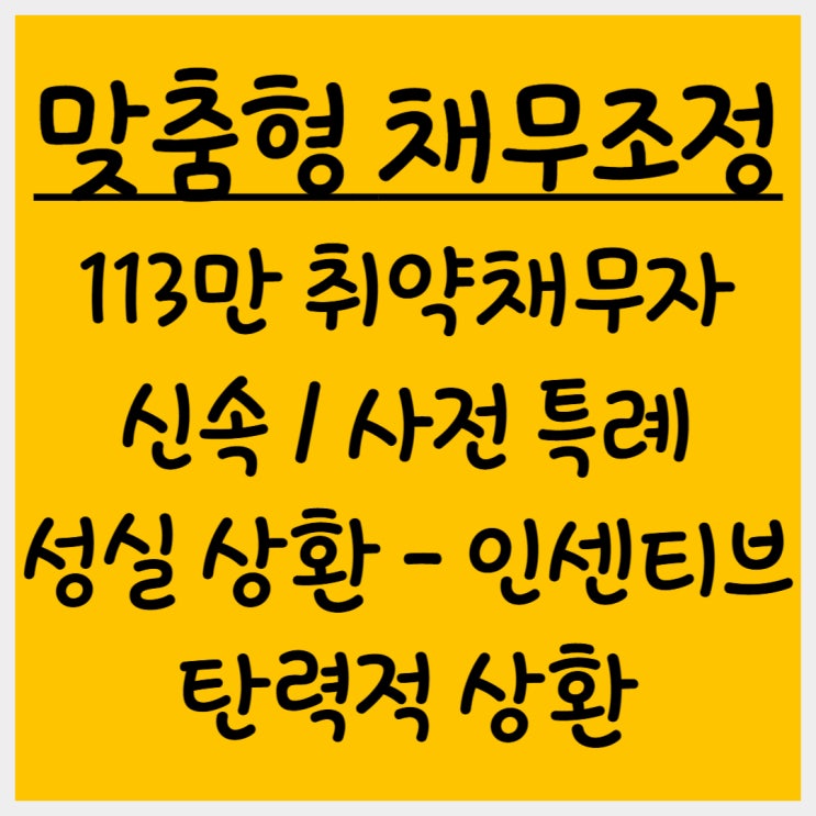  113만 취약채무자 맞춤형 채무조정 상환