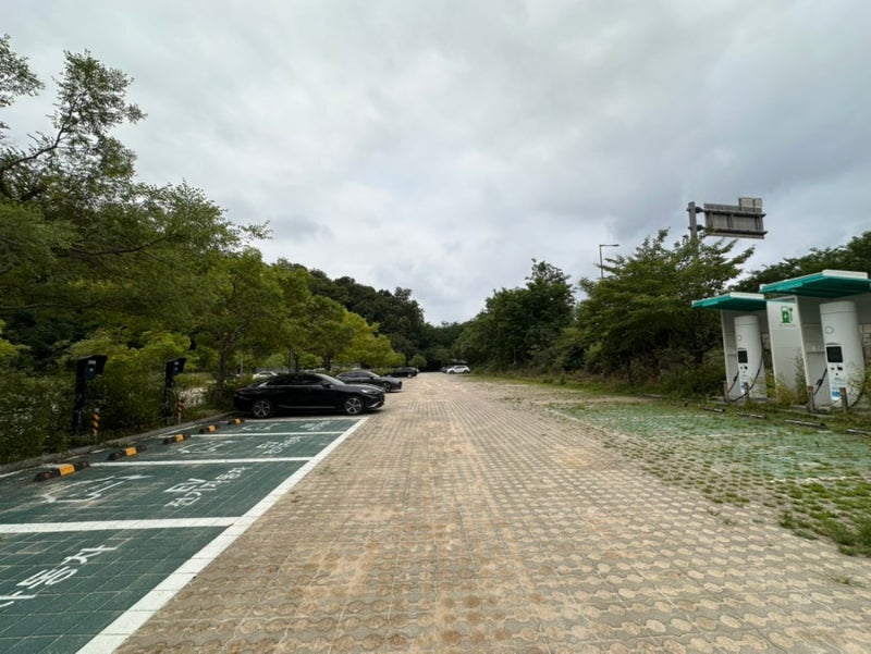 사진 3