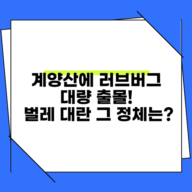 <b>계양산 러브버그</b> 대량 출몰! 벌레 대란 그 정체는?
