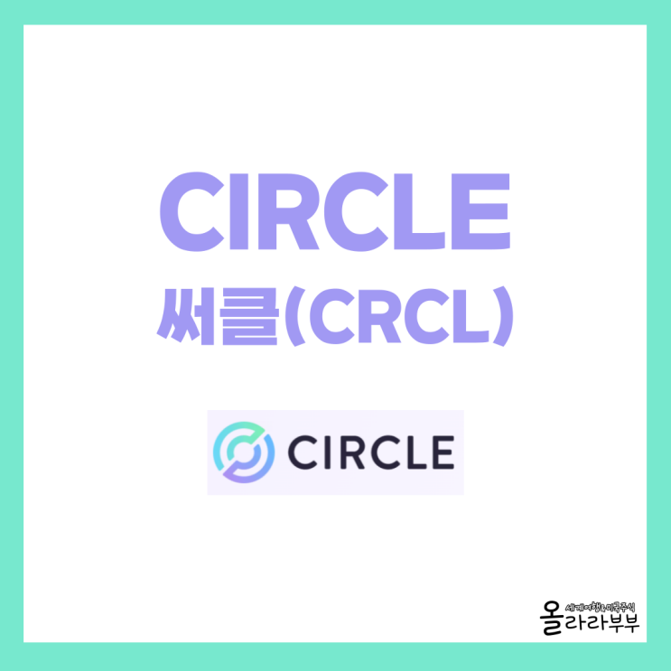  Circle 써클 스테이블코인 전망과 리스크