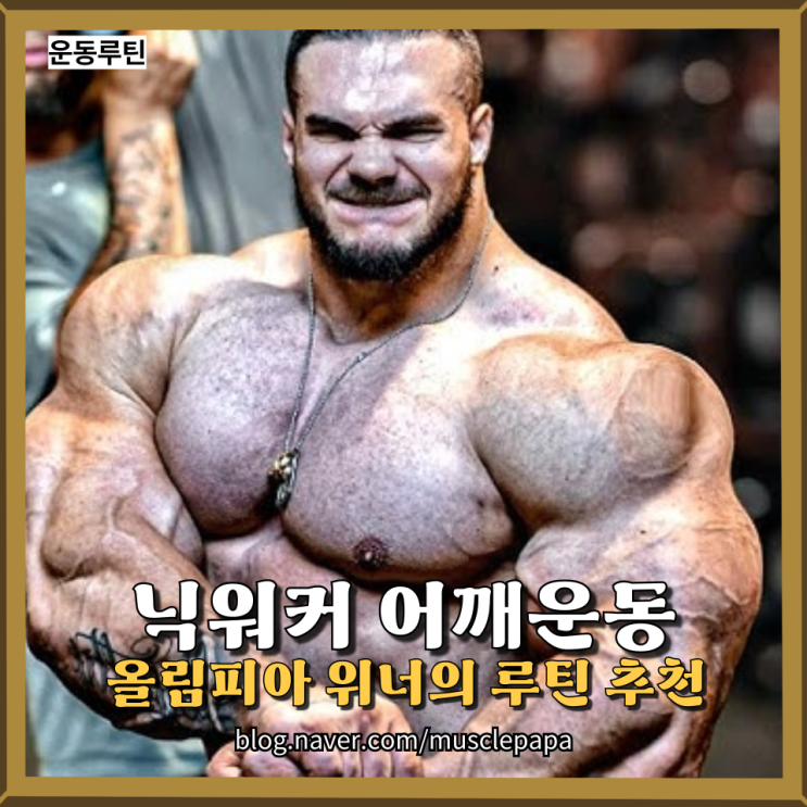  닉 워커 어깨 운동 루틴 추천 – IFBB 프로의 코코넛 어깨 완성 전략