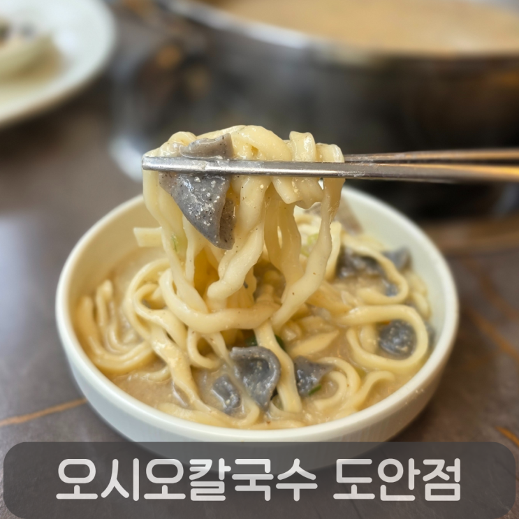  도안동칼국수맛집 오시오칼국수, 진한 들깨칼제비와 바삭한 녹두전의 조합