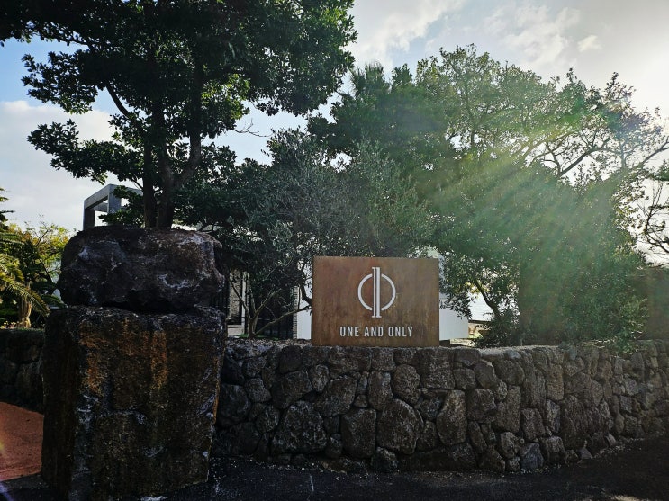  [제주도 카페] 제주 산방산 카페 원앤온리 내돈내산 솔직후기