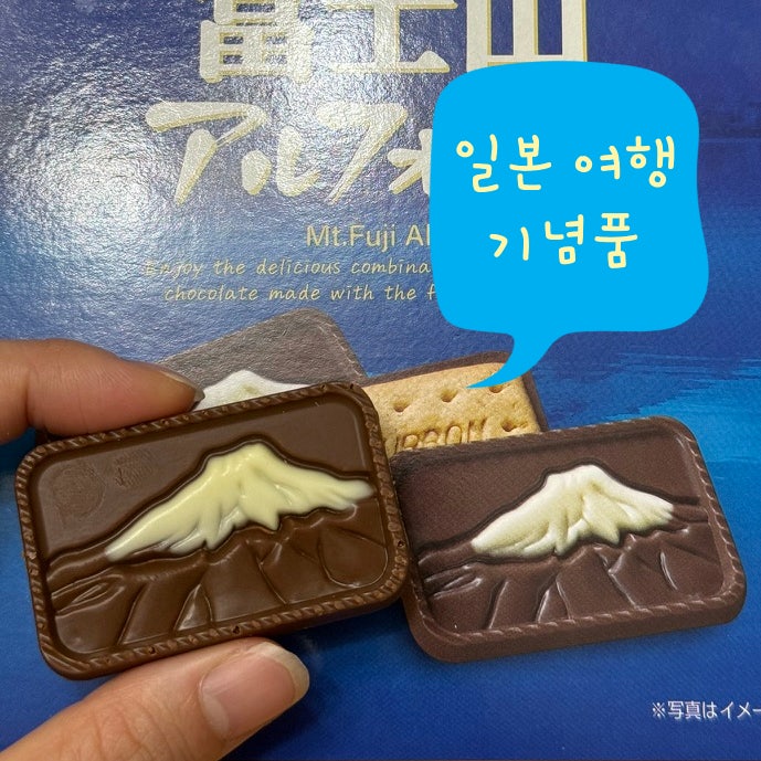  일본 소도시 시즈오카 여행 선물 일본 초콜릿 비스킷 버번 마운트 후지산 알포트