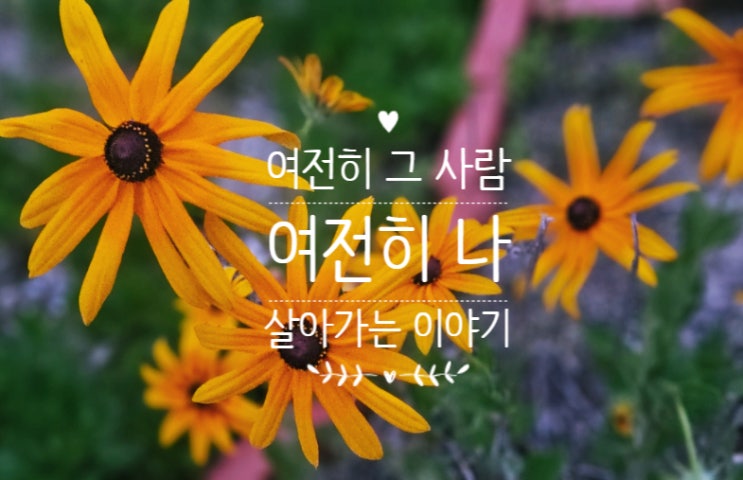  여전히 그 사람 그리고 여전히 나, 이런저런 이야기