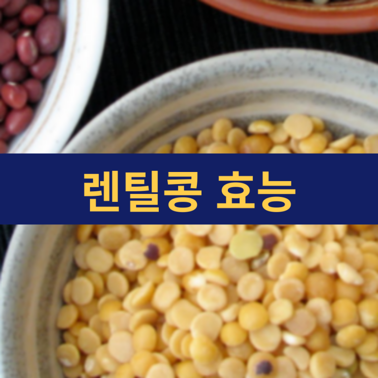 렌틸콩 효능 | 렌틸콩 먹는 법 | 렌틸콩밥 삶기 | 칼로리 단백질 함량