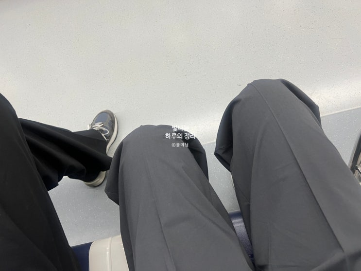 여름 출근룩 교복템 무신사 쿨탠다드 슬랙스