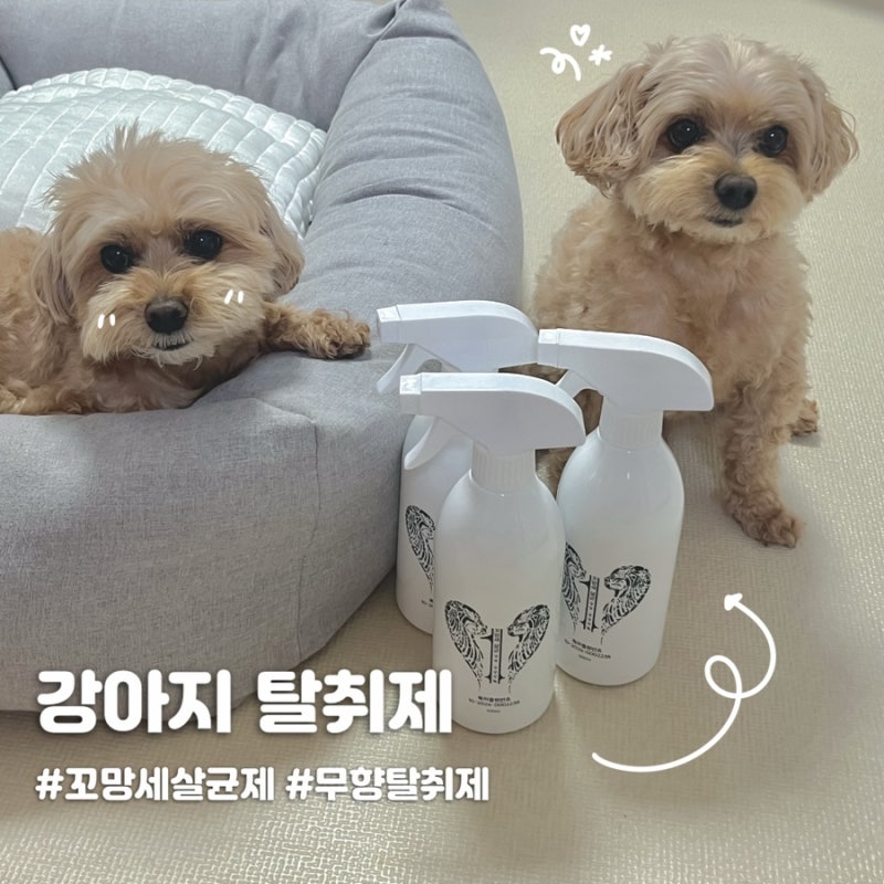 매일 쓰는 강아지 탈취제 꼬망세 무향 살균제 후기