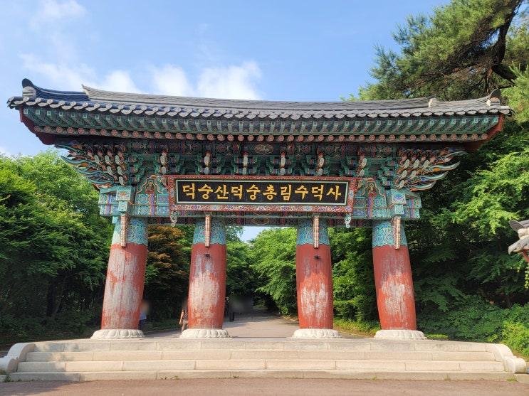 충남 예산 사찰 수덕사 오래된 목조건물 대웅전