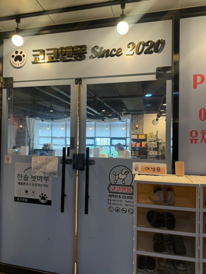 코코앤몽 펫카페