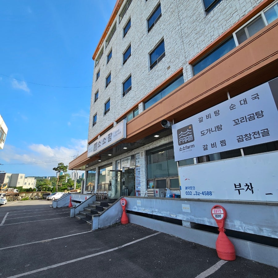 소한마리 사진 5