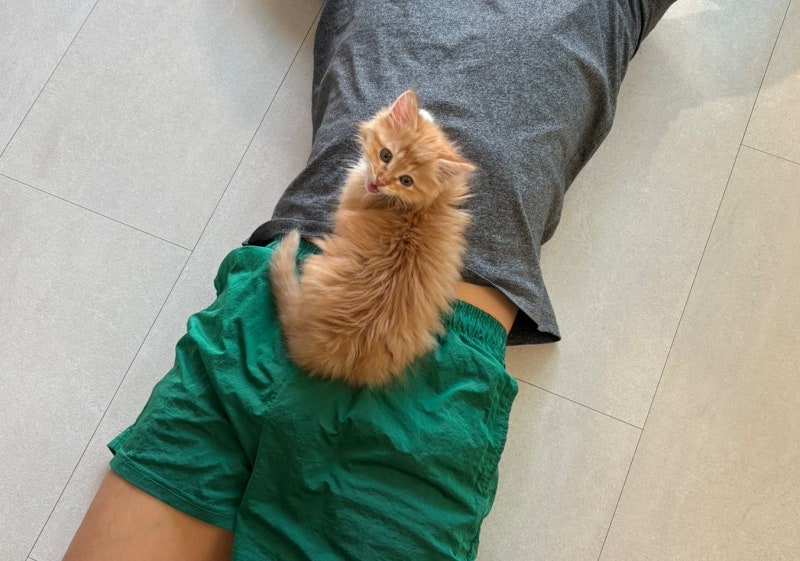 사진 8